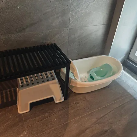4, Pstruží, Krušné Hory * Merklín