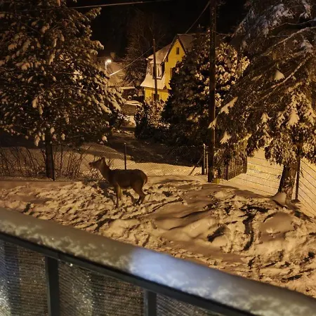 Apartment 4, Pstruzi, Krusne Hory Merklin (Karlovy Vary)